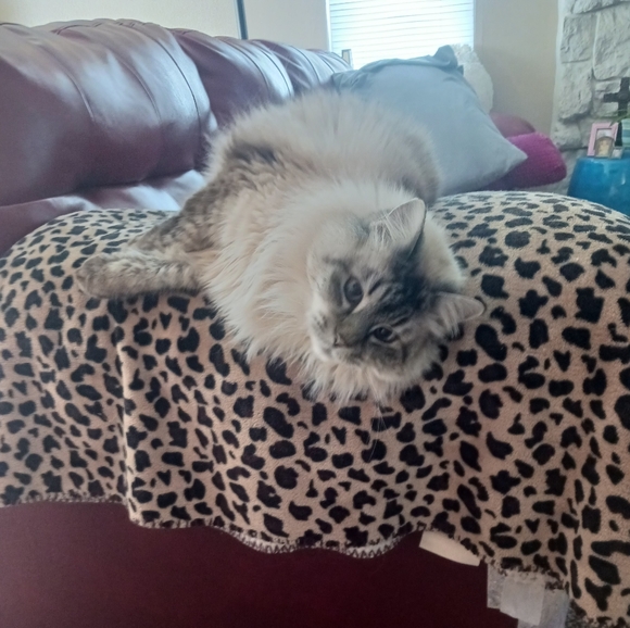 Meet your Posher, Shannon - Picture 6 of 6